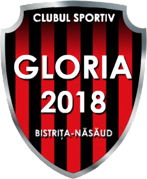 Gloria Bistrita Nasaud W